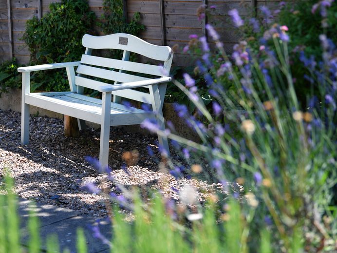 Garden bench among lavender at Friars Lodge
